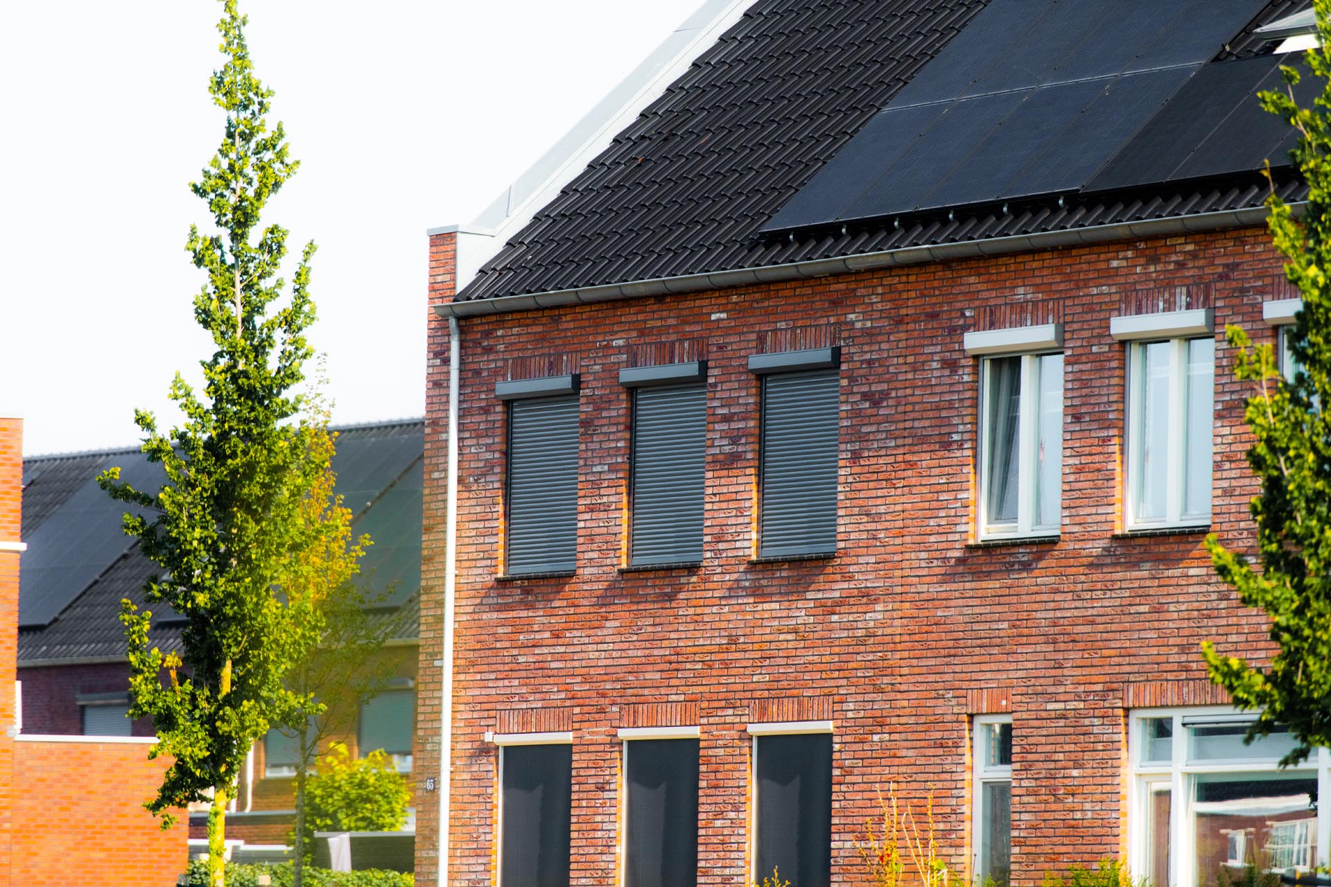 Zonwering screen rolluik